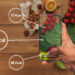 Calculating Calories for Weight Loss